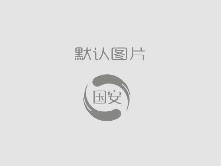 國(guó)安建設(shè)丨公司今年怎么干？